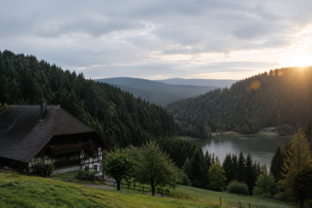 Rolling forested hills with a small lake in the Black Forest