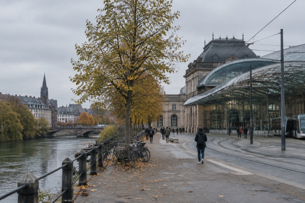 Autumn trees along the River Ill with the old city behind