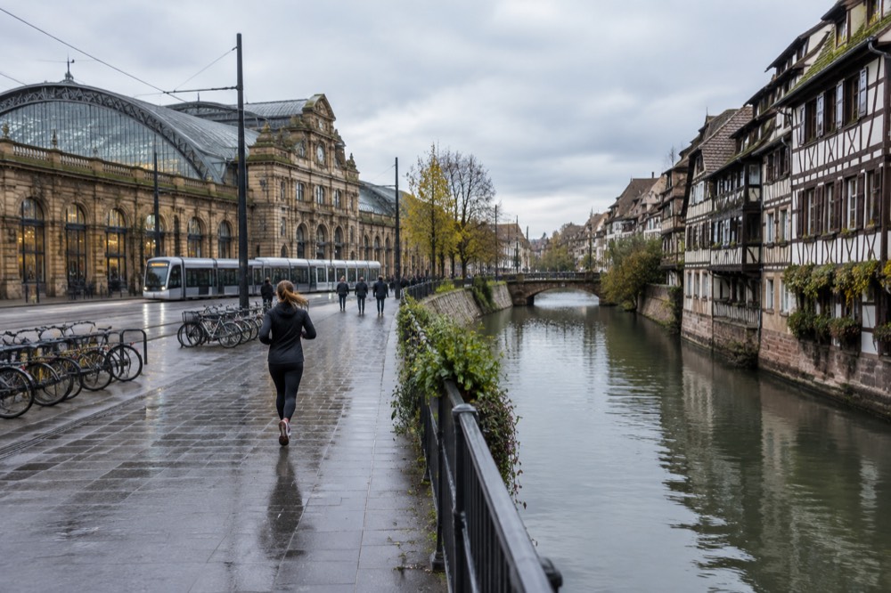 A narrow street of leaning half-timbered houses beside a canal