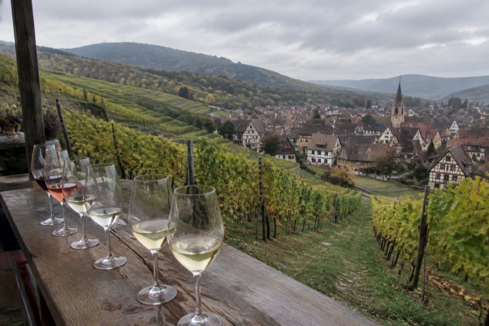 Wine glasses lined up on a wooden tasting counter beside vineyard views