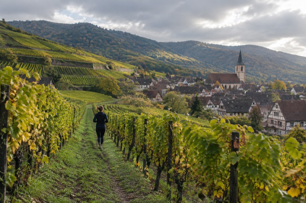 A hillside village church tower rising above vineyards in late afternoon light