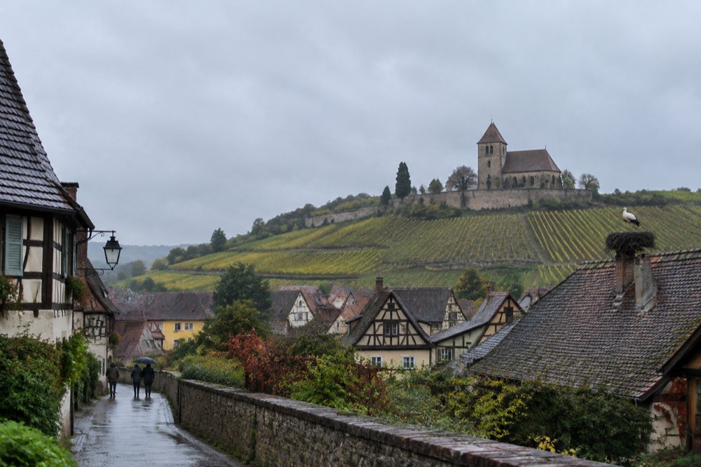 Vineyard rows on a hillsides above an Alsatian village with a stork nest on a rooftop below