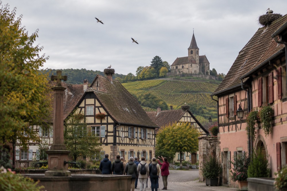 A small group of visitors on a guided walk through a village square with storks circling above