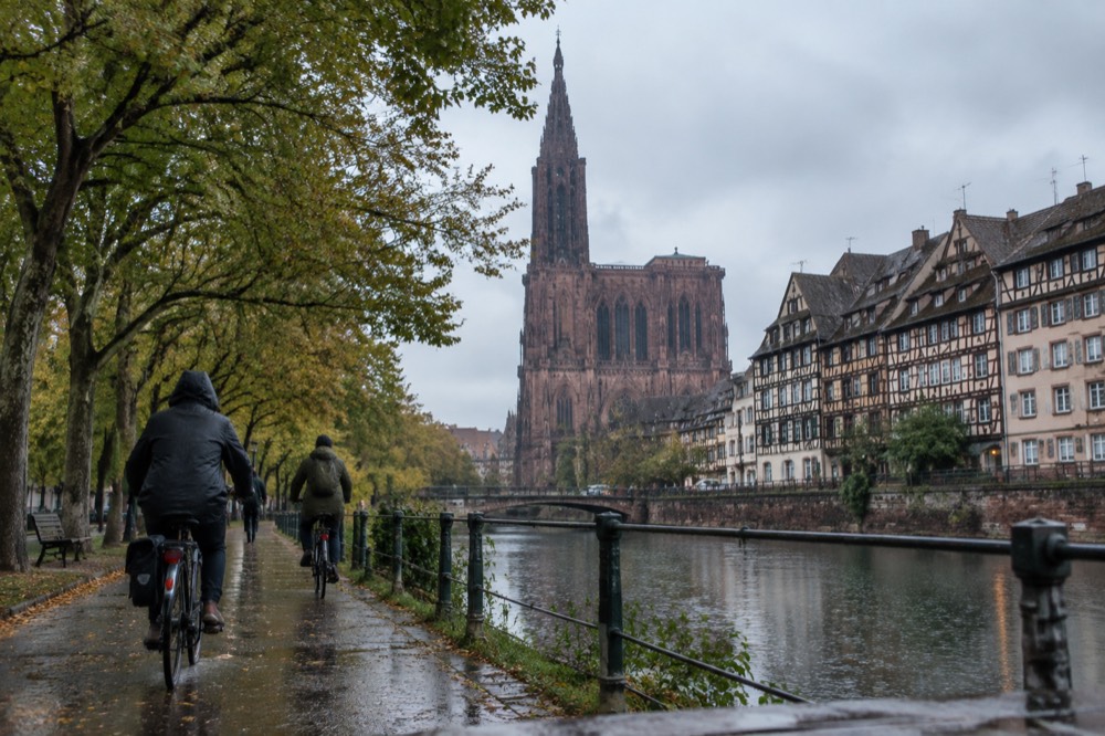 Cyclists riding along a tree-lined path beside the River Ill in Strasbourg