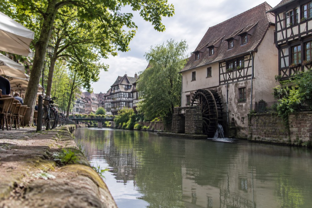 A tree-lined canal bank in the Krutenau quarter with old watermill buildings