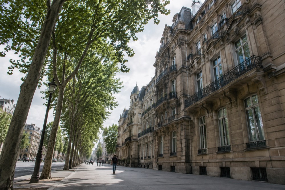 Wide tree-lined boulevard with monumental stone buildings in the Neustadt quarter