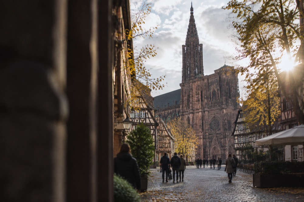 The single spire of Strasbourg Cathedral rising above rooftops dotted with golden autumn leaves