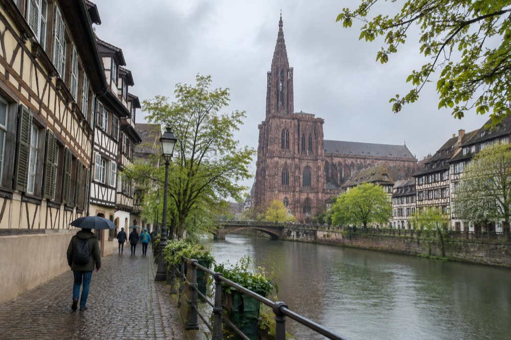 Half-timbered houses along the Ill river in Strasbourg with spring foliage on the trees