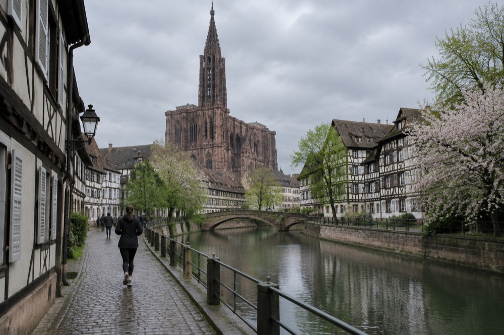 Blossoming trees along a Strasbourg canal with half-timbered buildings reflected in the water