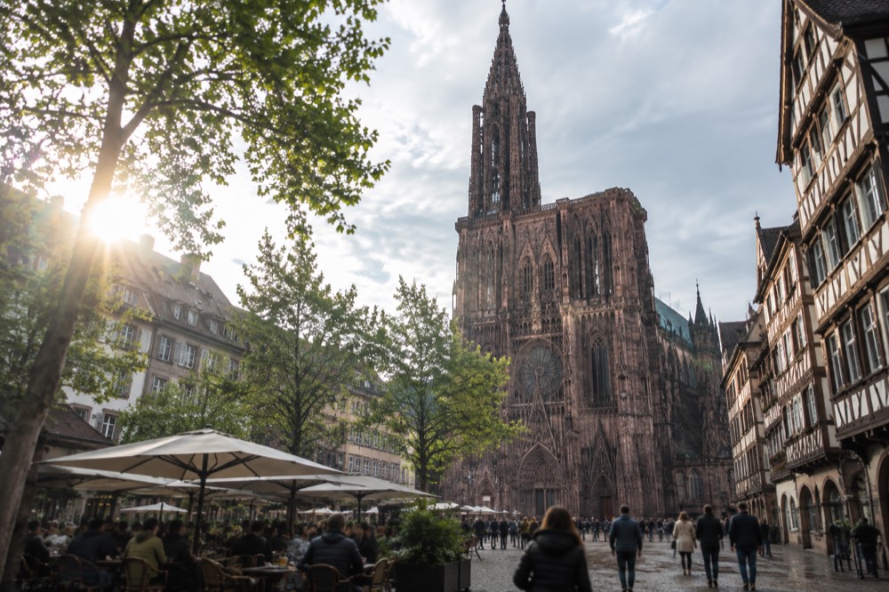 Plane trees and café terraces on a Strasbourg square in late spring sunshine