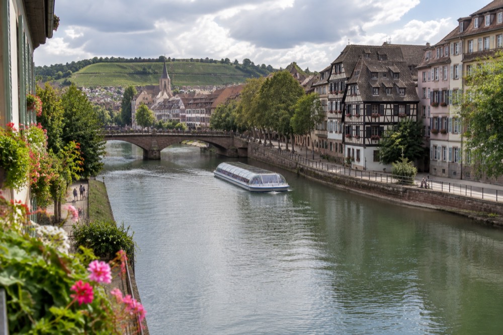Vineyard slopes above an Alsatian village with flowers on balconies in summer