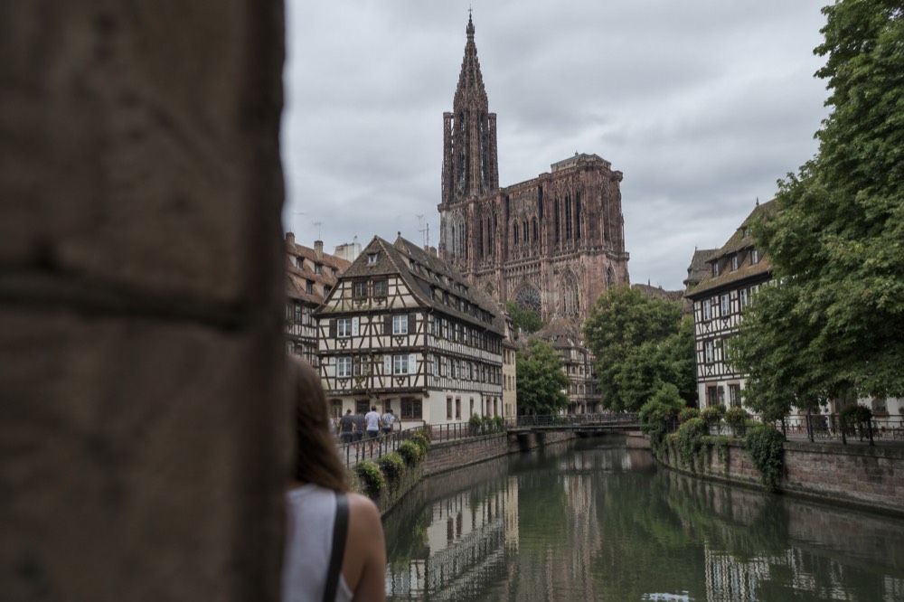 A canal in Strasbourg reflecting half-timbered houses and summer trees