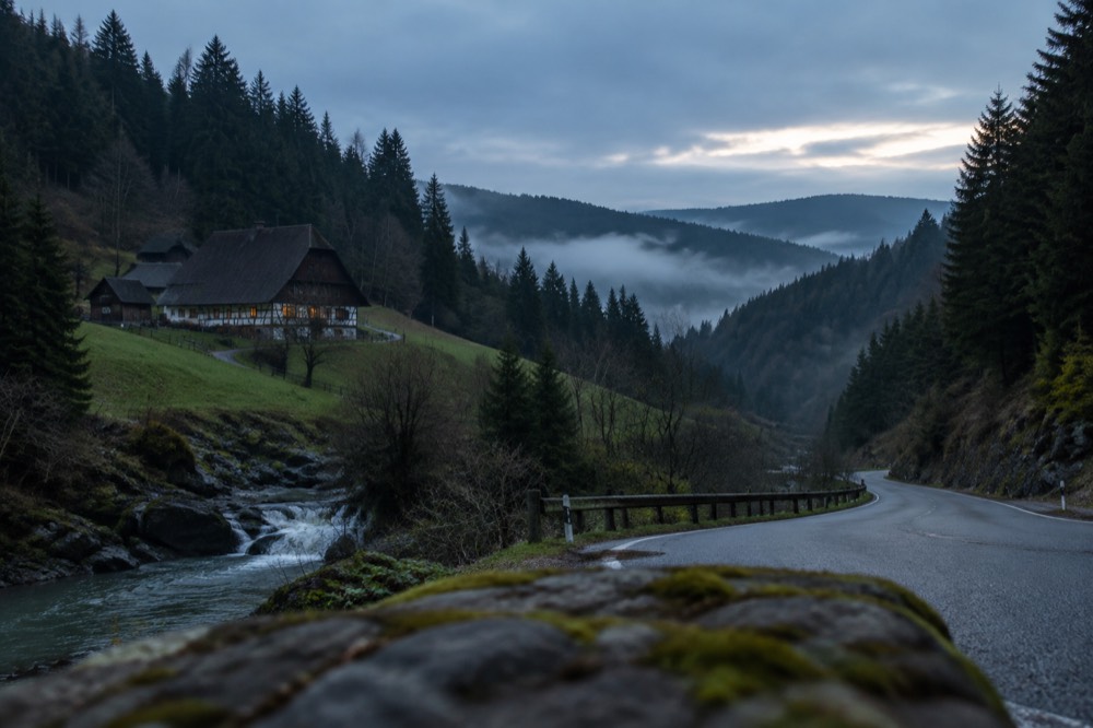 A forest road winding through dense Black Forest hills with mist in the valleys
