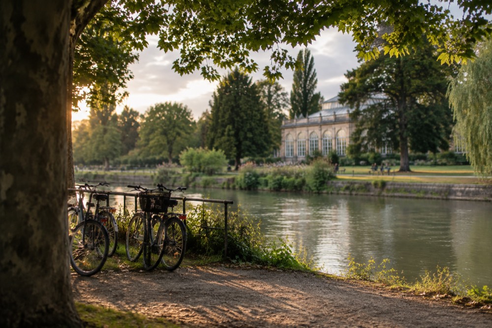 Bicycles parked beside the Ill river bank on a warm afternoon