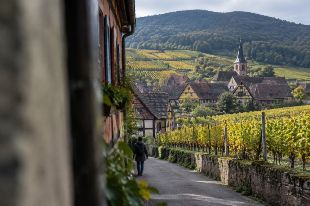 A narrow lane between colourfully painted half-timbered houses in an Alsatian wine village