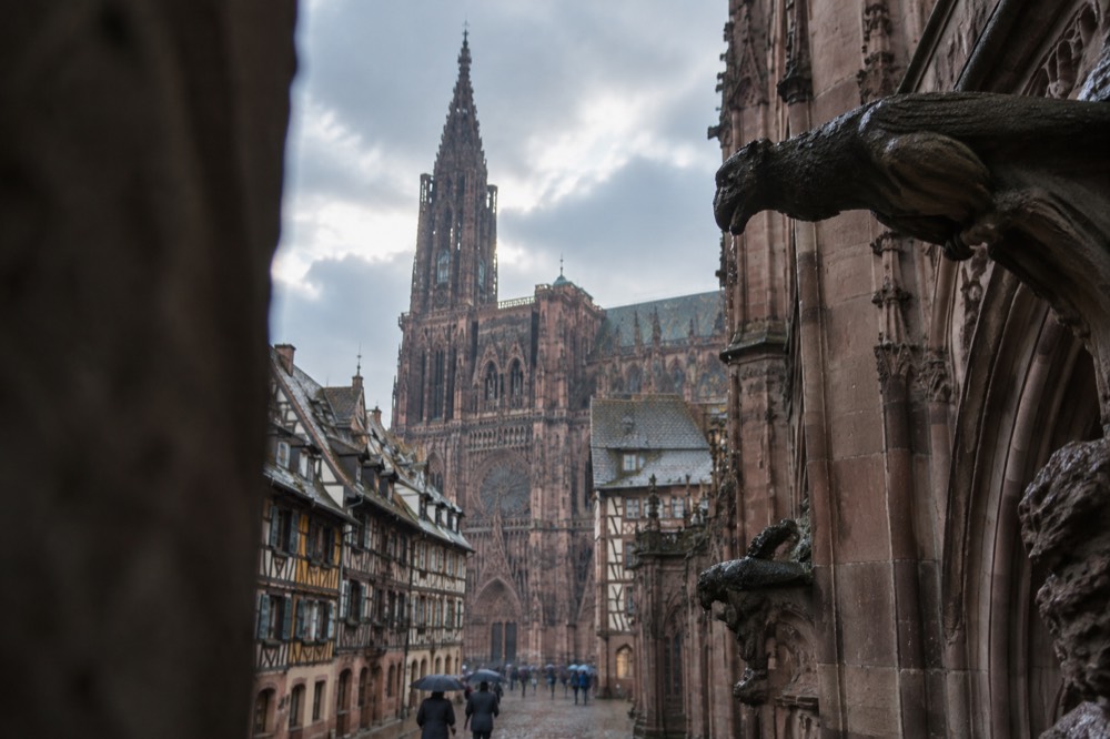 Gargoyle and Gothic stone detail of Strasbourg Cathedral in drizzle