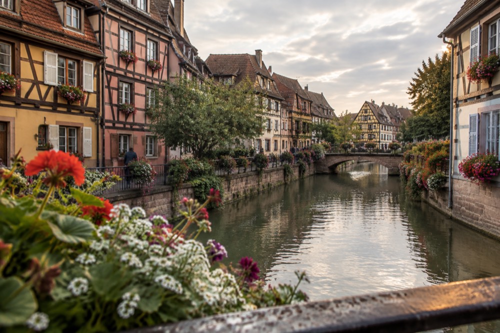 Canal in Colmar lined with colourful half-timbered houses and flowering window boxes